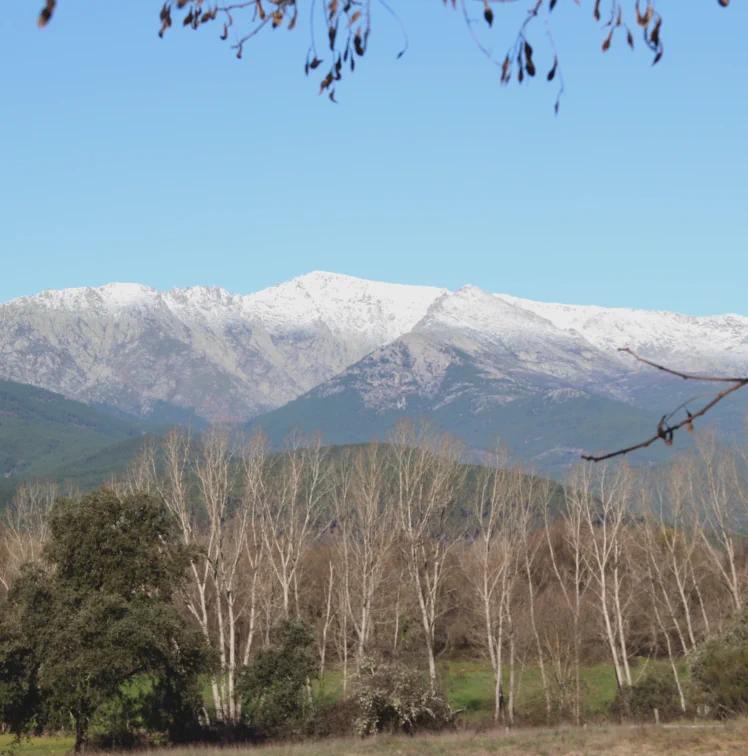 Restaurante Asador Cuevas del Águila Arenas de San Pedro, Ávila