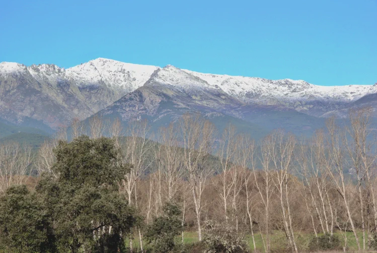 Restaurante ideal para familias y grupos